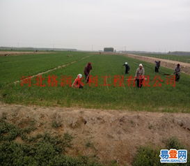 【出售膜下噴灌帶價(jià)格_湘潭縣大田噴灌廠(chǎng)家】-省內(nèi)其它易登網(wǎng)